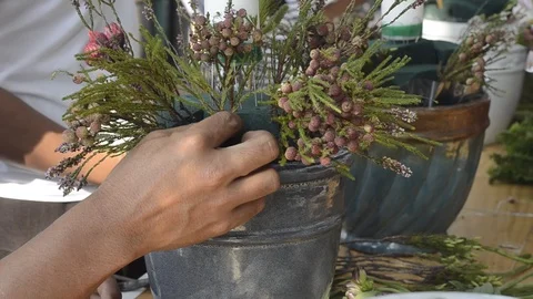 Flower arrangement in class room. Video stock 86677560