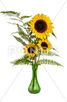 Flower arrangement with ferns and sunflowers Stock Photos