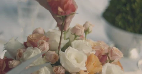 Flower Arrangement 動画素材 139000051