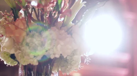 Flower Arrangement Light Flare Stock Footage 53526522