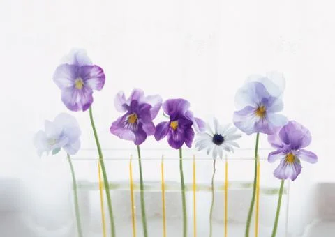 Flower Arrangement Stock Photos