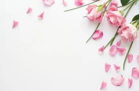 Flower arrangement Stock Photos