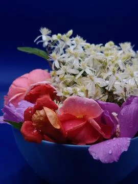 Flower arrangement Stock Photos