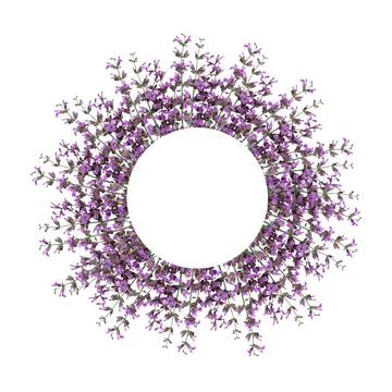 Flower arrangement of a round shape. Sage flowers and green leaves isolated.. Foto stock