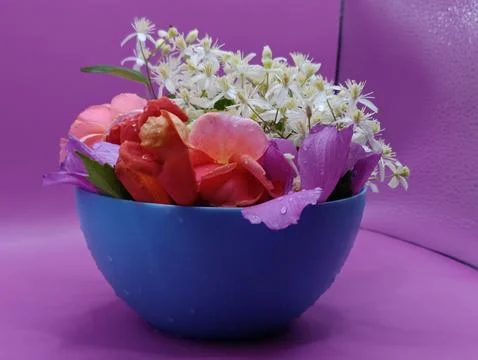 Flower arrangement side view Stock Photos