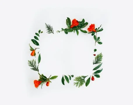 Flower arrangement in a square. a pattern of red and orange flowers on a white Stock Photos