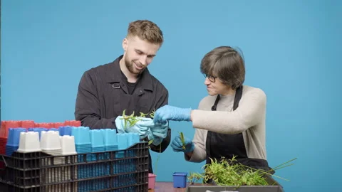 Flower arrangement workshop with instructors on blue background Video stock 267905637