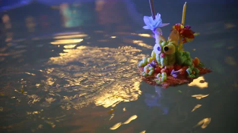Flower arrangements floating Stock Footage 46316931