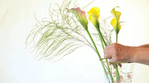 Flower arranging Stock Footage 11423117