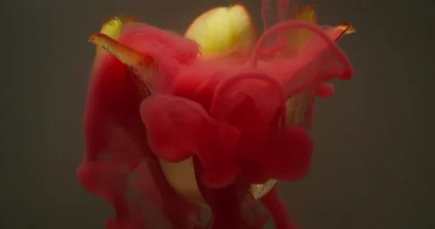 Flower art paint background tulip plant red cloud 動画素材 333797989