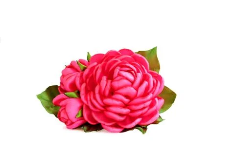 Flower artificial handmade pink rose from satiny ribbons with buds on white b Free Stock Photos