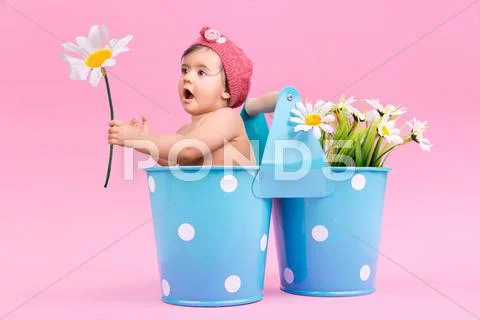 Flower baby Stock Photos