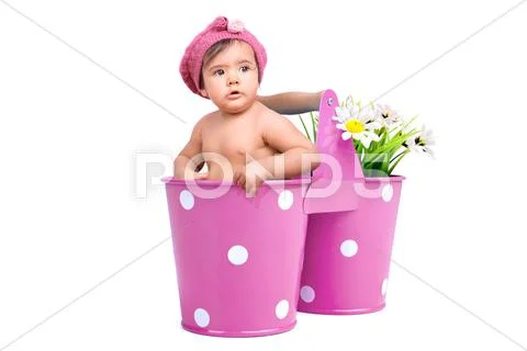 Flower baby Stock Photos