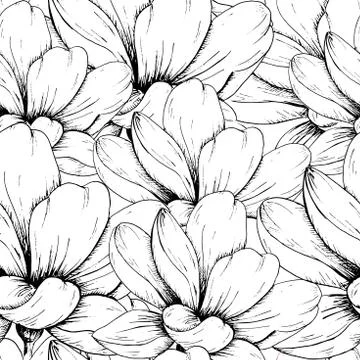 Flower backdrop. Hand drawn seamless pattern with sketch style flowers. Monoc Stock Illustration