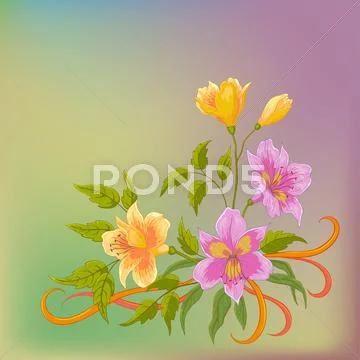 Flower background, alstroemeria Stock Illustration