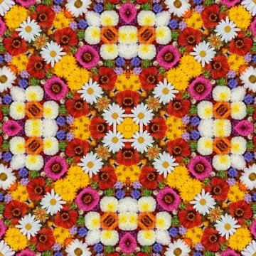 Flower background for a congratulation, top view. Stock Illustration