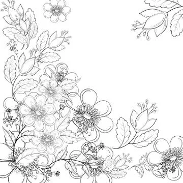 Flower background, contours Illustrazione stock