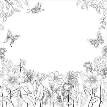 Flower background, contours Illustrazione stock