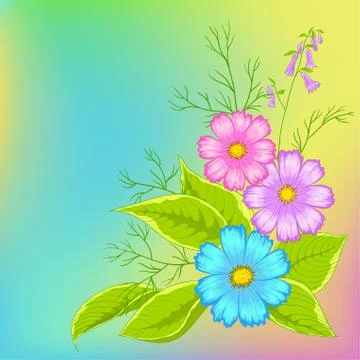 Flower background, cosmos Stock Illustration