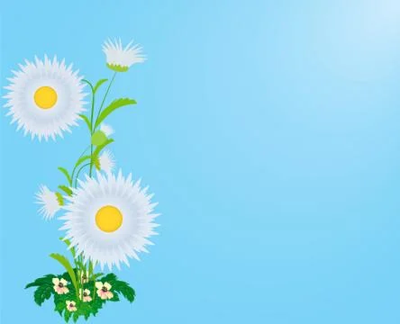 Flower background. Stock Illustration