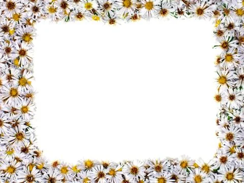 Flower background Stock Photos