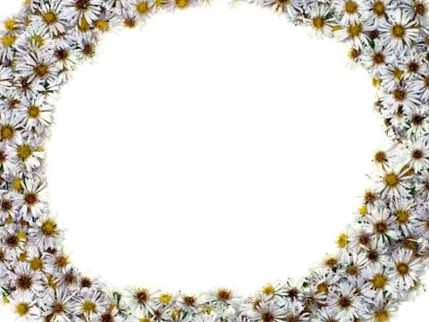 Flower background Stock Photos
