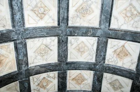 Flower background Stock Photos