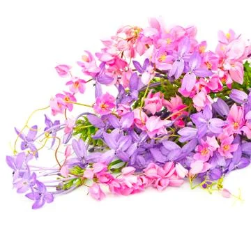 Flower background Stock Photos