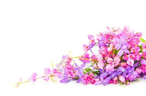 Flower background Stock Photos
