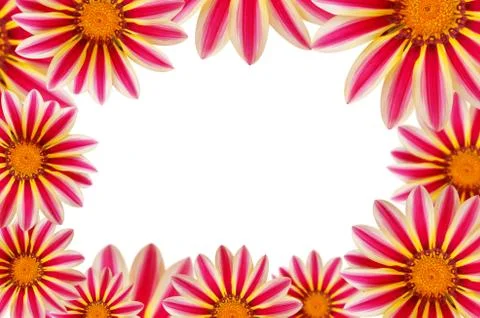 Flower background Stock Photos