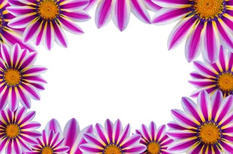 Flower background Foto stock