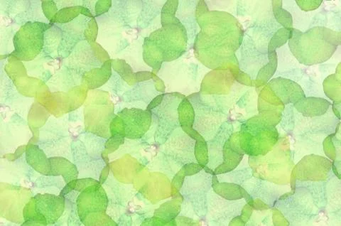 Flower background Stock Photos