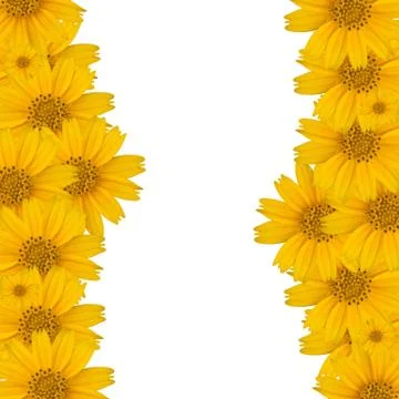 Flower background Stock Photos