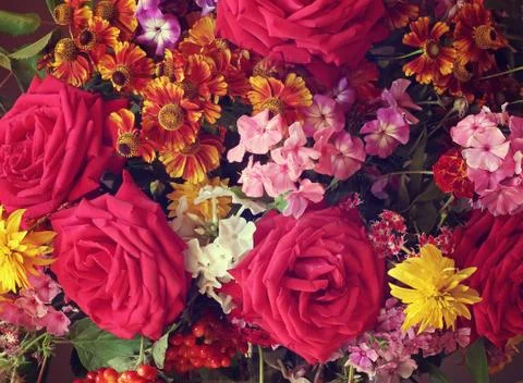 Flower background. Stock Photos