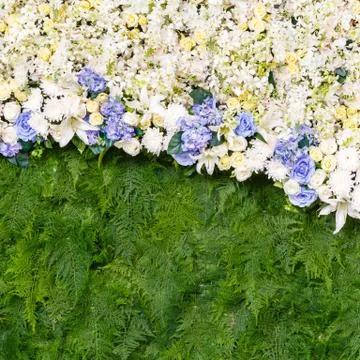 Flower background Stock Photos