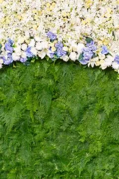 Flower background Stock Photos