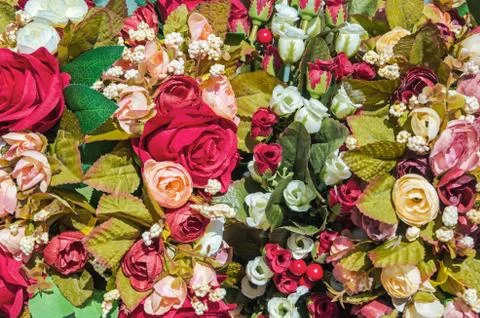 Flower background Stock Photos