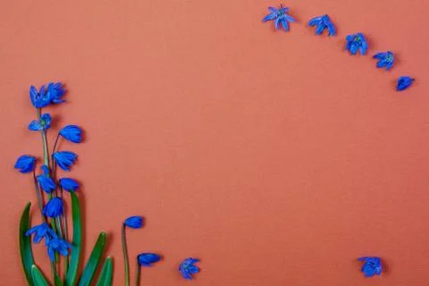 Flower background Stock Photos