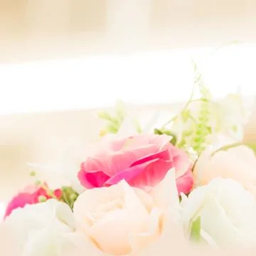 Flower background Stock Photos