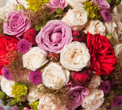 Flower background Stock Photos