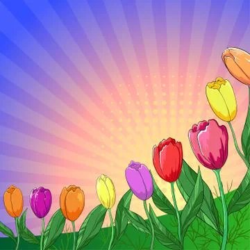 Flower background, tulips Illustrazione stock