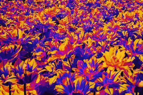 Flower background vector illustration Vivid colors blue, yellow, red and pink Stock Illustration