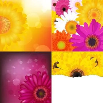 Flower backgrounds set Stock Illustration