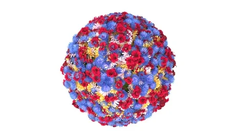 Flower ball on a white background Stock Footage 156553879