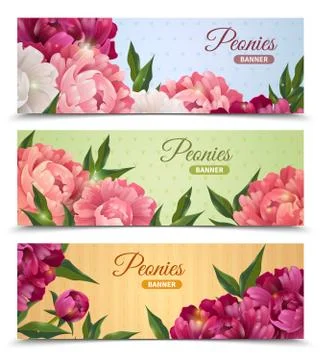 Flower Banners Set Illustrazione stock