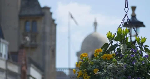 A flower bascket Stock Footage 301454108