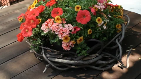 Flower Basket Stock Footage 40804237