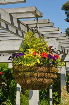 Flower basket Stock Photos