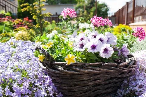 Flower basket Stock Photos