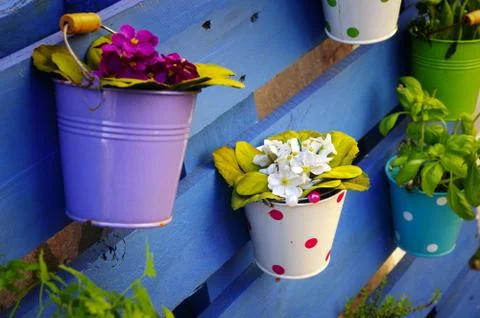 Flower baskets Stock Photos